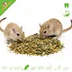 Aliment de Base Varié pour Gerbilles 750 g