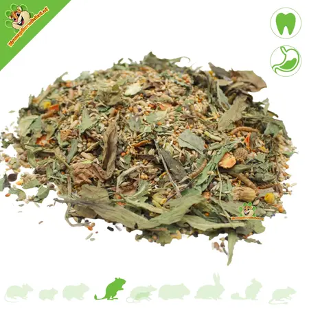 Alimento Base Variado para Hámsters Dorados y Hámsters Teddy 750 g