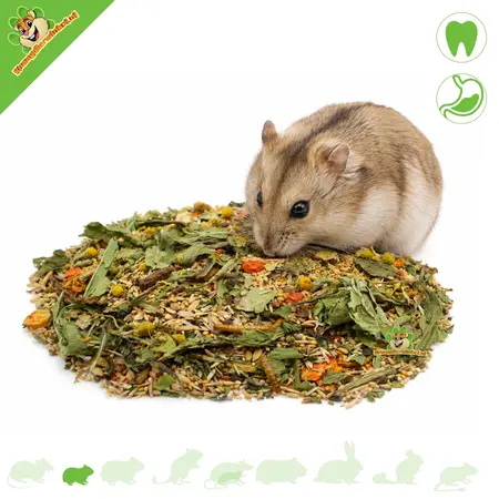 Varied Basic Food for Dwarf Hamsters 750 g