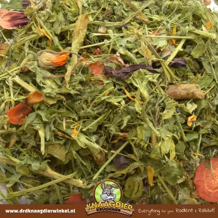Knaagdier Kruidenier Aliment Naturel pour Cochon d’Inde aux Herbes 500 g