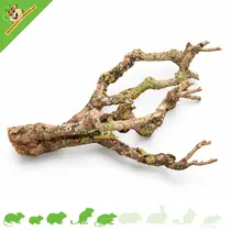 Hamsterscaping Branch Nature