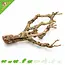 Knaagdierwinkel® Branche Nature pour Hamsterscaping