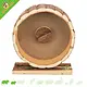 Forest Houten Looprad met Kurk 23 cm voor Muizen en Dwerghamsters