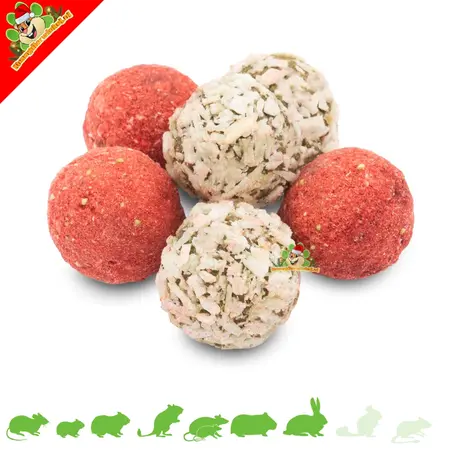 JR Farm Christmas Treat Balls Coconut Alfalfa Strawberry – Festive Rodent Treats 75 g