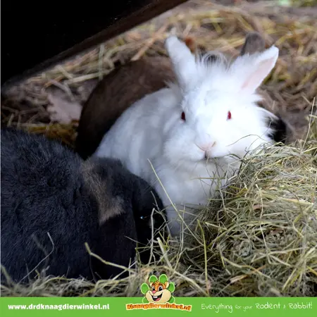 Witte Molen PUUR Meadow Hay Flowers 500 grams