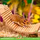 Mostek Wierzbowy Naturalny Arcade – Elastyczny Mostek i Ścianka dla Gryzoni