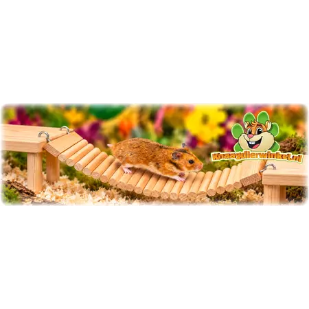Arcade Weidenbrücke Natur – Flexible Brücke und Trennwand für Nagetiere