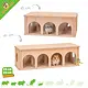 Arcade Watchbox Underground Rodent House with Viewing Window