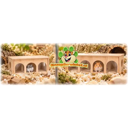 Arcade Watchbox – Unterirdisches Nagerhaus mit Sichtfenster