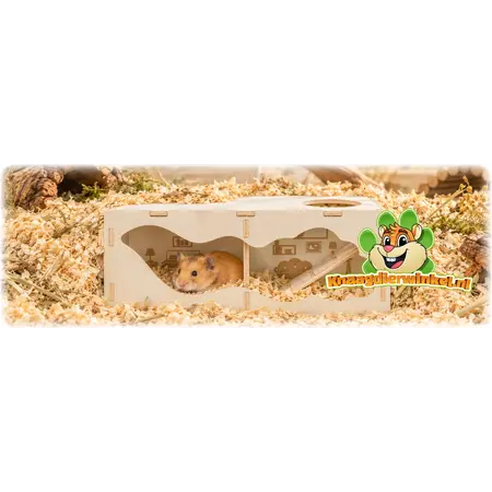 Watchbox Huis Plat Dak 30 cm – Ondergronds Kijkhuis