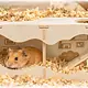 Watchbox Huis Plat Dak 30 cm – Ondergronds Kijkhuis