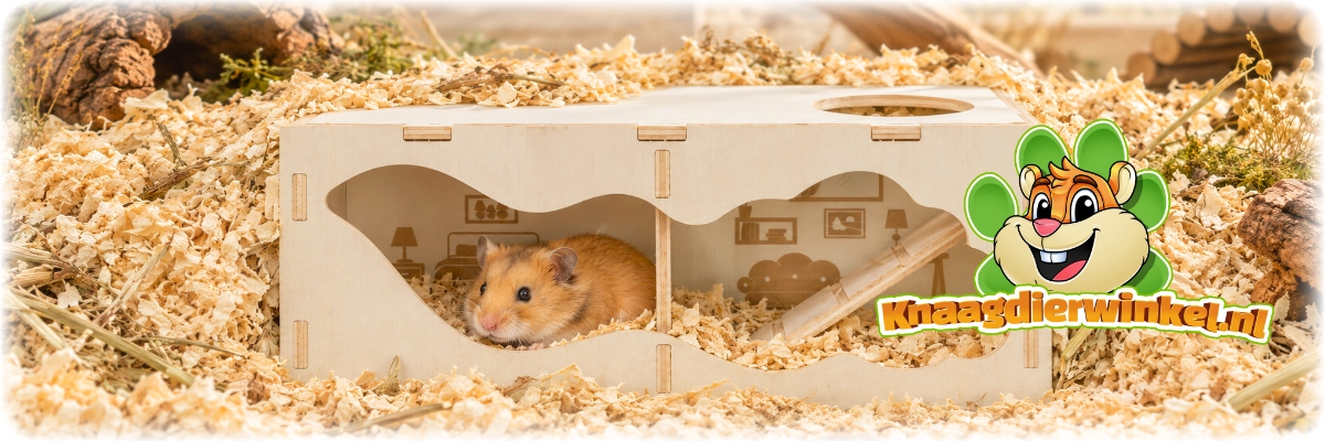 watchbox hamster