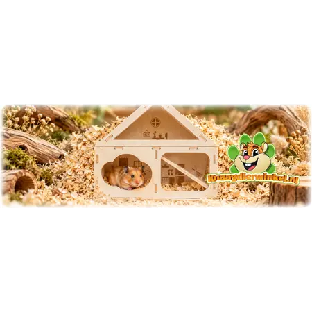 Maison Watchbox à Toit Pointu 30 cm – Maison d’Observation en Bois pour Petits Rongeurs