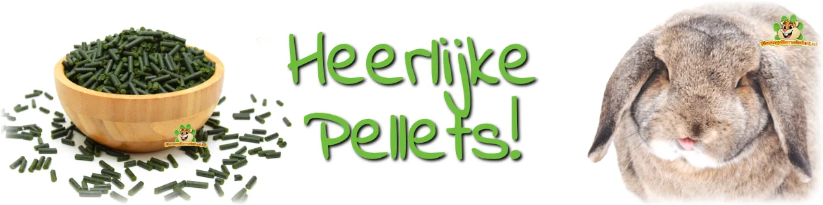 Barley Grass Pellets 200 g from De Knaagdier Kruidenier® for rodents and rabbits