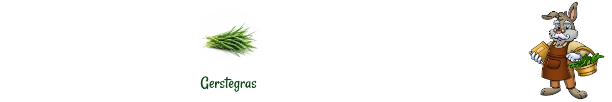 Barley grass used to make Barley Grass Pellets, with the De Knaagdier Kruidenier® mascot