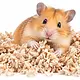 PetsPick Über Papierstreu Natural – Weiche Papiereinstreu