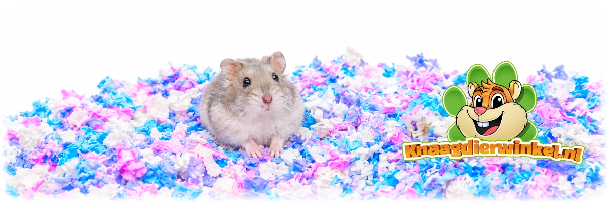 Petspick Uber paper bedding confetti met dwerghamster erin