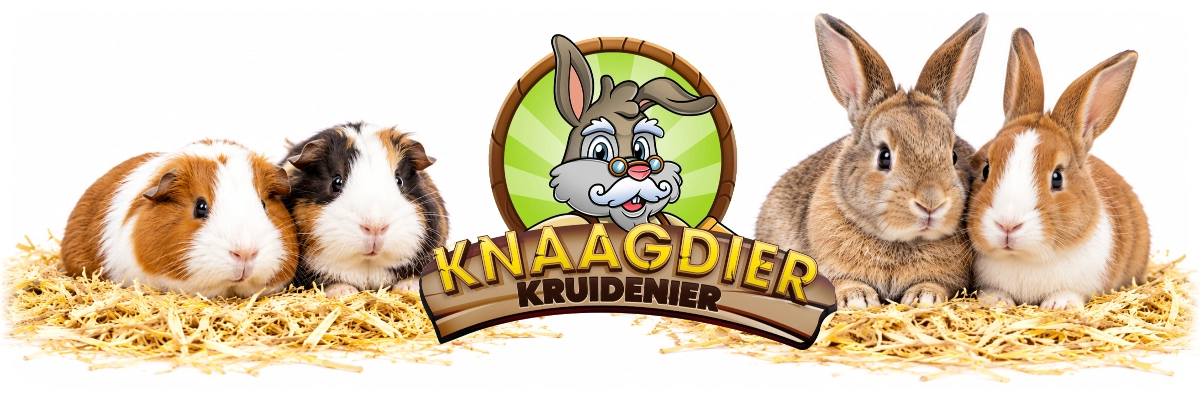 gerstestro voor knaagdier en konijn