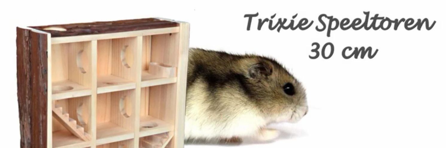 Hamstertjes in de Trixie Speeltoren