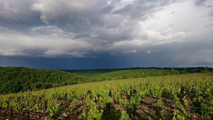 Maya en Nicolas zijn beide oenoloog en volgden hun passie! Domaine la Calmette