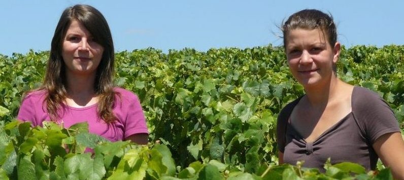 Chablis, het oesterwater en het noordelijkste wijngebied van de Bourgogne