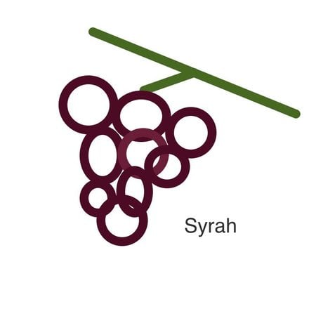 Selectie van onze wijnen met de syrah druif