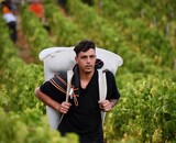 Ontmoet onze wijnmaker: Domaine Romanin