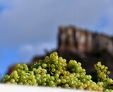 Wijntip van de maand: Lamure van Domaine Romanin!