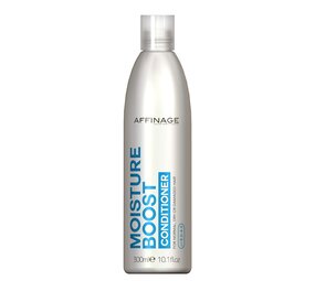 Moisture Boost Conditioner Moisture Boost Conditioner