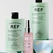 REF Stockholm Gift Box Weightless Volume - 285+245+80ml