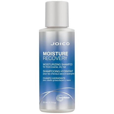 Joico Moisture Recovery Shampoo