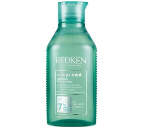 Redken Amino-Mint Shampoo
