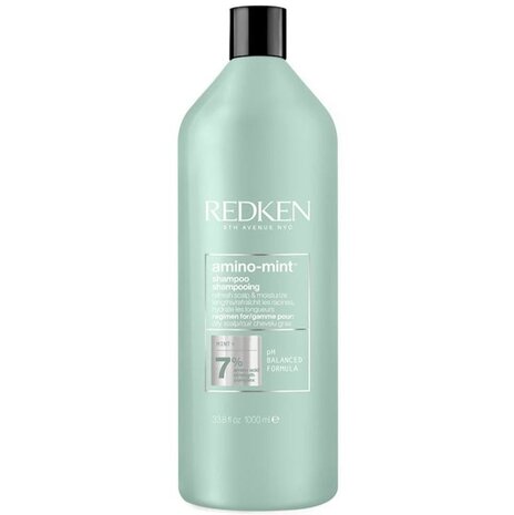 Redken Amino-Mint Scalp Shampoo