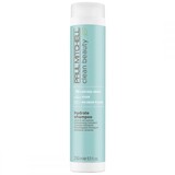 Paul Mitchell Hydrate Shampoo