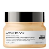 L'Oreal Absolut Repair Mask