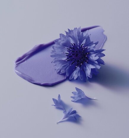 Schwarzkopf BlondMe Bond Repair Purple Shampoo Schwarzkopf BlondMe Bond Repair Purple Shampoo