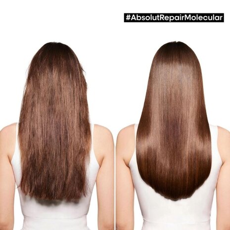 L'Oreal Absolut Repair Molecular Shampoo  Refill