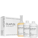 Olaplex Salon Intro Kit Olaplex Salon Intro Kit
