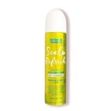 Scalp Refresh Dry Shampoo
