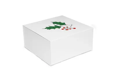 Luxe magneetdozen Holly Berry Wit