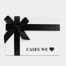 laptop cases
