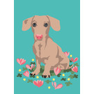 lu160 | luminous | cute dog - postcard