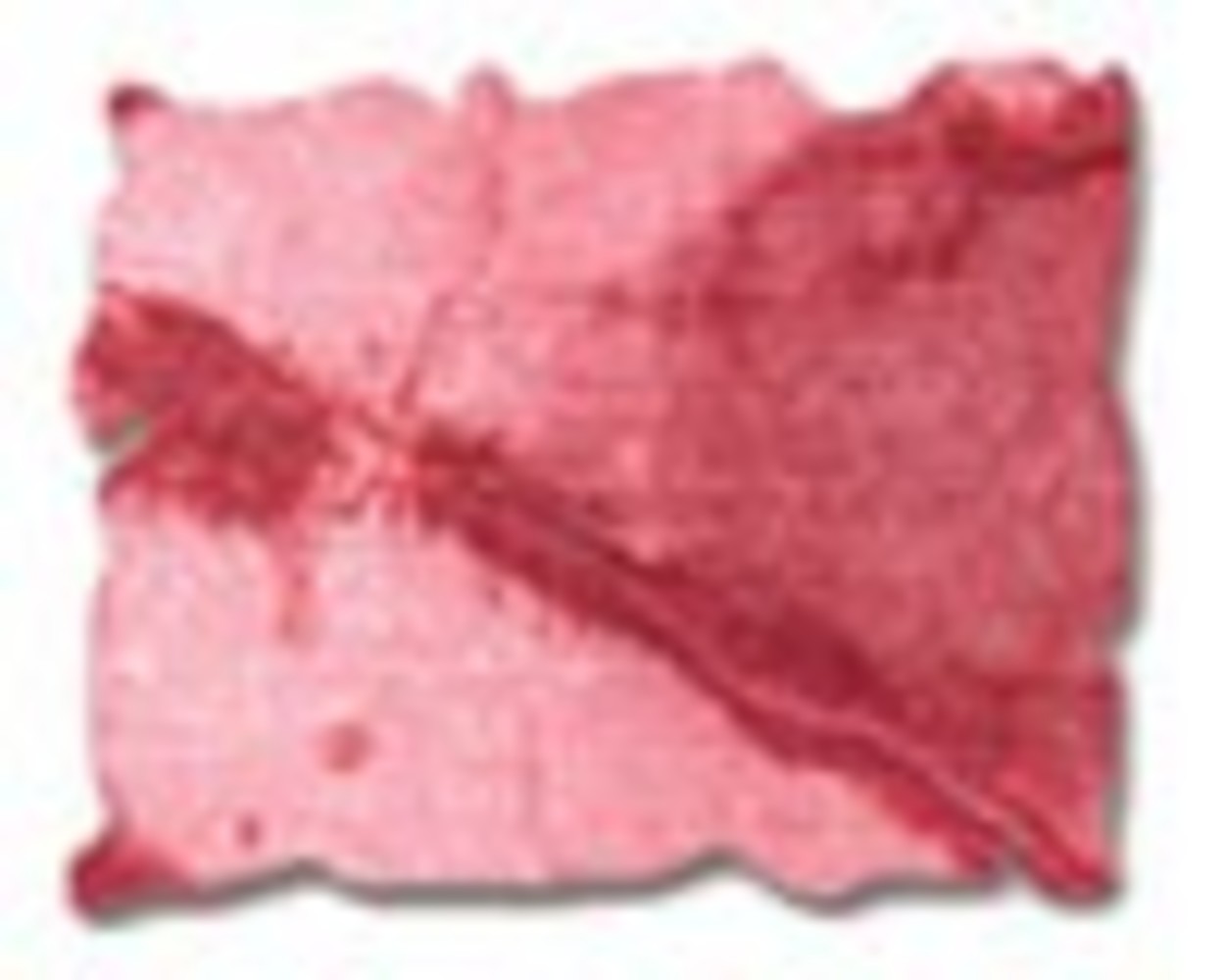 Ranger Mini Distress Pad Kit #2 (TDPK40323) Ranger Mini Distress Pad Kit #2 (TDPK40323)