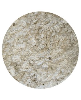 Nuvo Embellishment Mousse Pure Platinum (NEM 803)