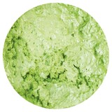 Nuvo Embellishment Mousse Spring Green (NEM 808)