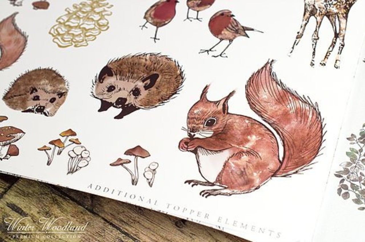 Craft Consortium Winter Woodland 12x12 Inch Paper Pad (CCPPAD006) Craft Consortium Winter Woodland 12x12 Inch Paper Pad (CCPPAD006)