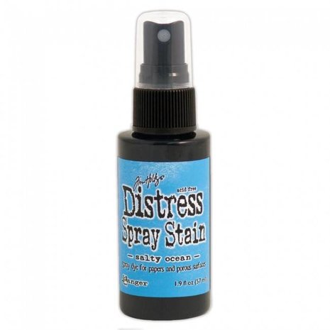 Ranger Distress Spray Stain Salty Ocean (TSS42457)