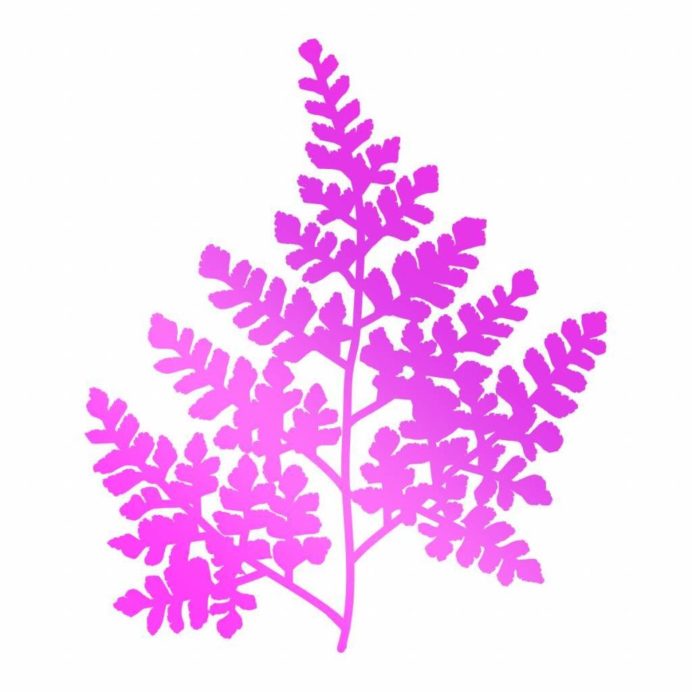 Couture Creations Hot Foil Stamp Wide Fern (CO725746) Couture Creations Hot Foil Stamp Wide Fern (CO725746)