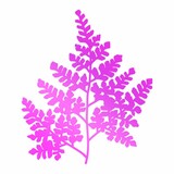 Couture Creations Hot Foil Stamp Wide Fern (CO725746)