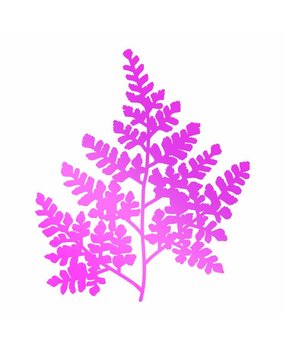 Couture Creations Hot Foil Stamp Wide Fern (CO725746) Couture Creations Hot Foil Stamp Wide Fern (CO725746)